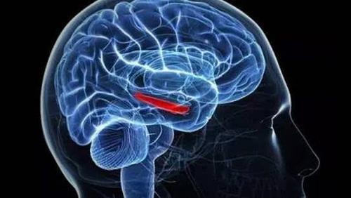 经颅磁刺激常见问题|脑血栓怎样锻炼恢复得快